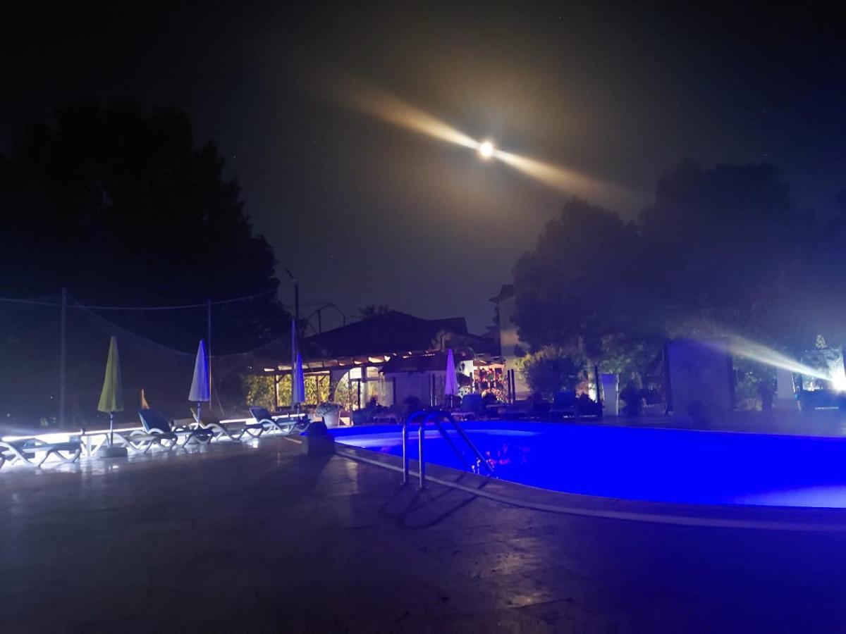 D'Amy Otel Costinești Dış mekan fotoğraf